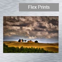 Fuji Flex Print