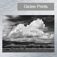 Fine Art Giclee Print